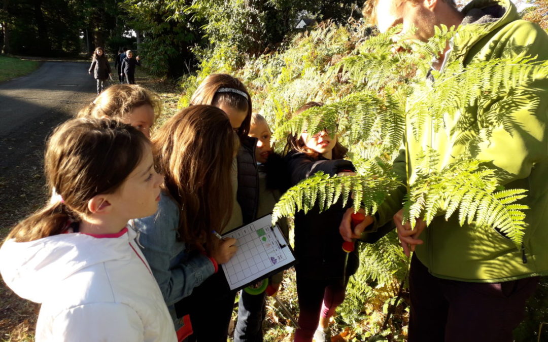 Festival Baie des sciences