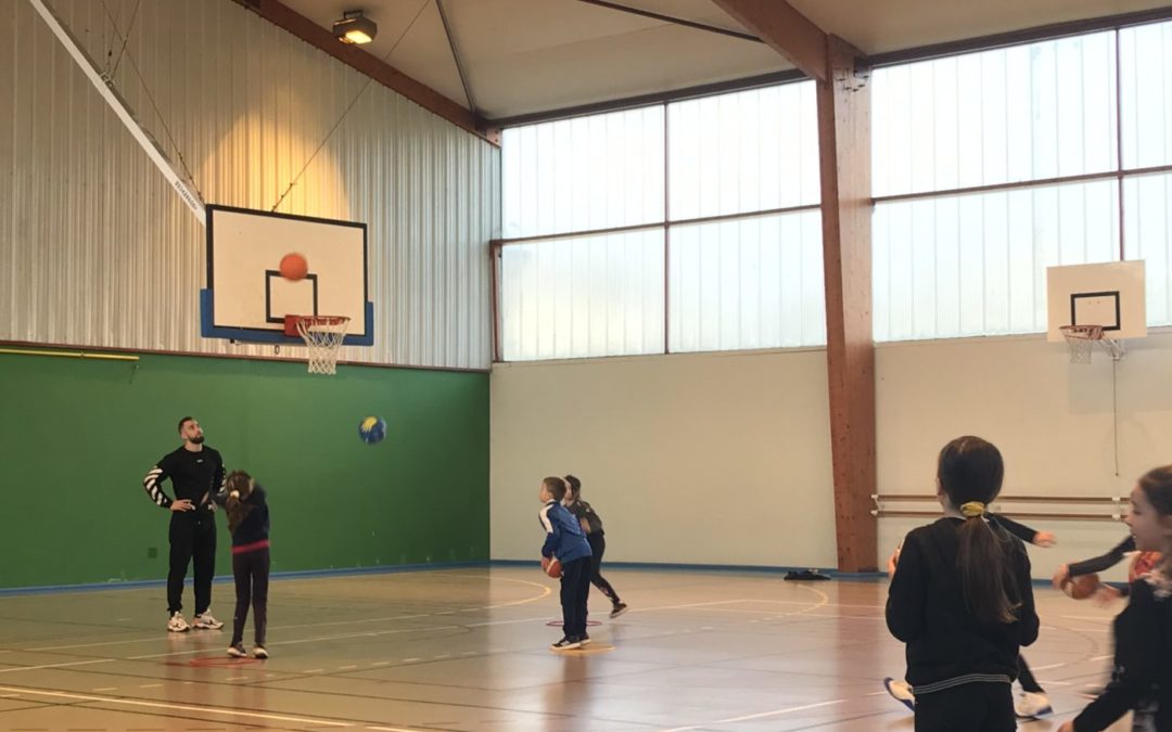 Basket Ecole